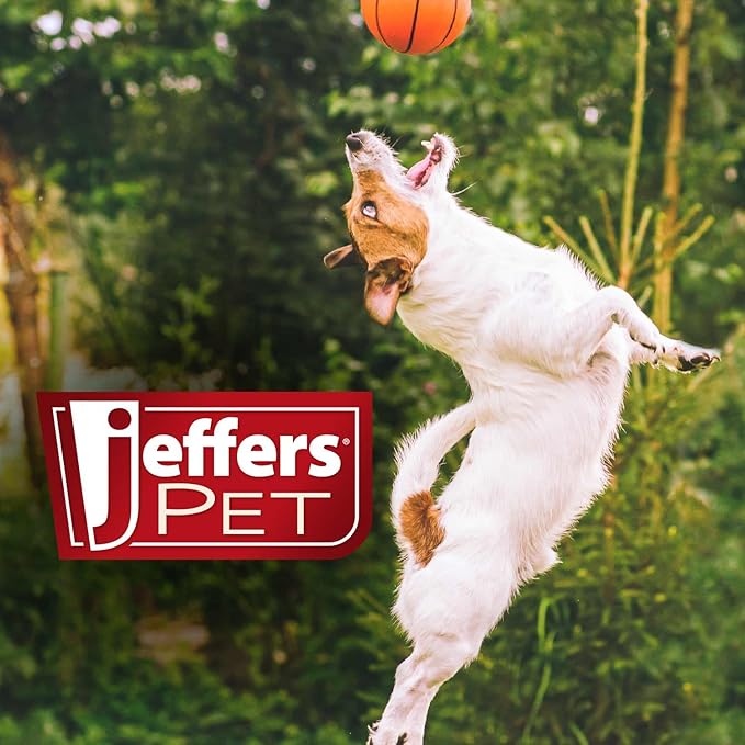 Jeffers Pet Plush Dog Toy with Squeaker, Black Penguin 6" - Soft Crinkle Fabric, Safe & Durable, Healthy Fun for Small & Medium Dogs, Interactive Play, Fetch, Tug - Best Gift for Active Games