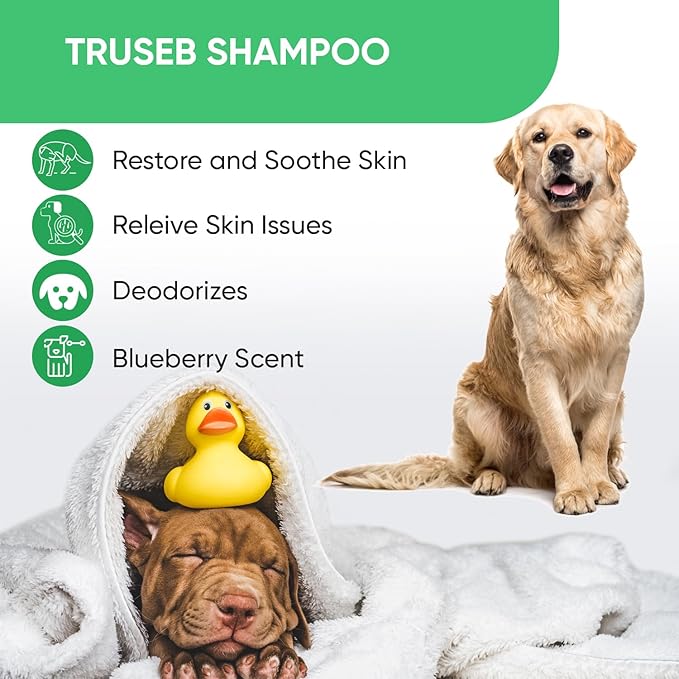Truseb Topical Chlorhexidine 4% Shampoo for Dogs, Cats & Horses (12 oz)- with Aloe for Cleansing (Chlorhexidine 4% Shampoo, 12 oz)