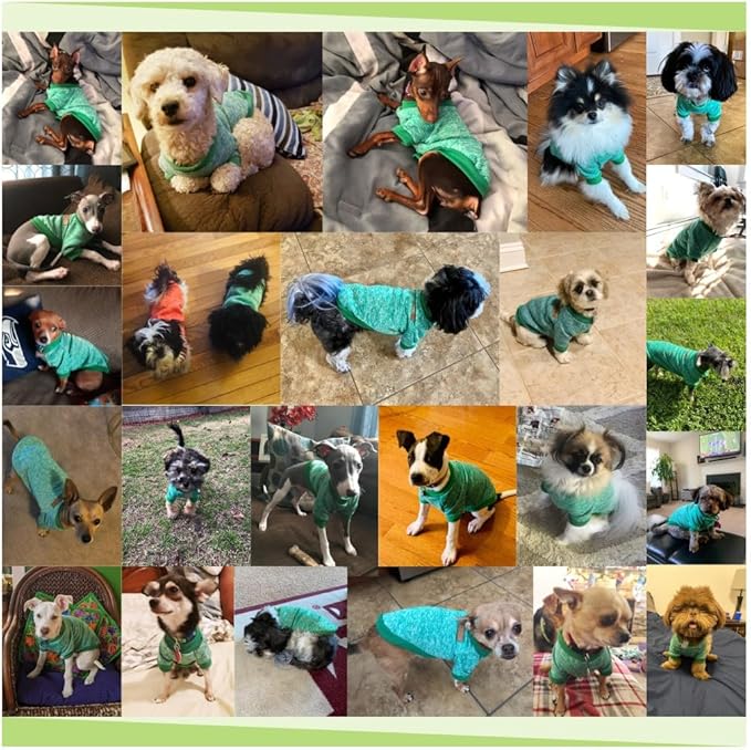 Jecikelon Dog Clothes Dogs Sweater Soft Puppies Clothing Winter Puppy Sweaters Warm Outfit for Dogs Small XXS XS Cat Apparel (Green, XL)