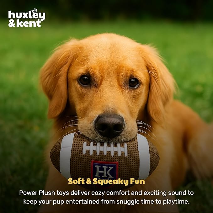 Huxley & Kent Funny Dog Toy w/Squeaker – Power Plush Squeaky Dog Toys for Small, Medium & Large Dogs – Soft Stuffed Animal for Indoor Play & Fetch - HK Football, Small