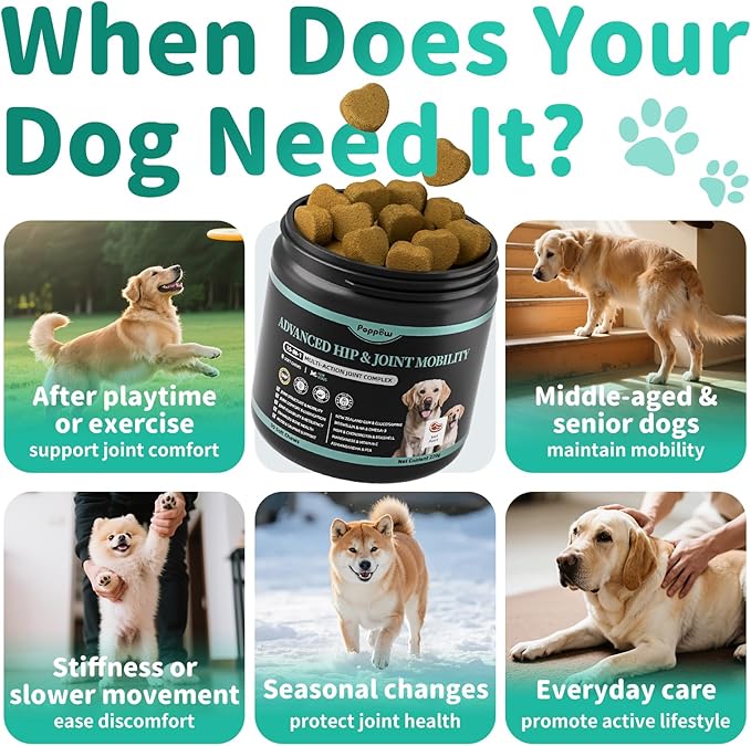 Advanced Dog Joint Supplement – 15-in-1 Glucosamine for Dogs with Chondroitin, MSM & Green Lipped Mussel – Hip & Joint Pain Relief Mobility Chews, Beef Flavor, 90Ct Breeds