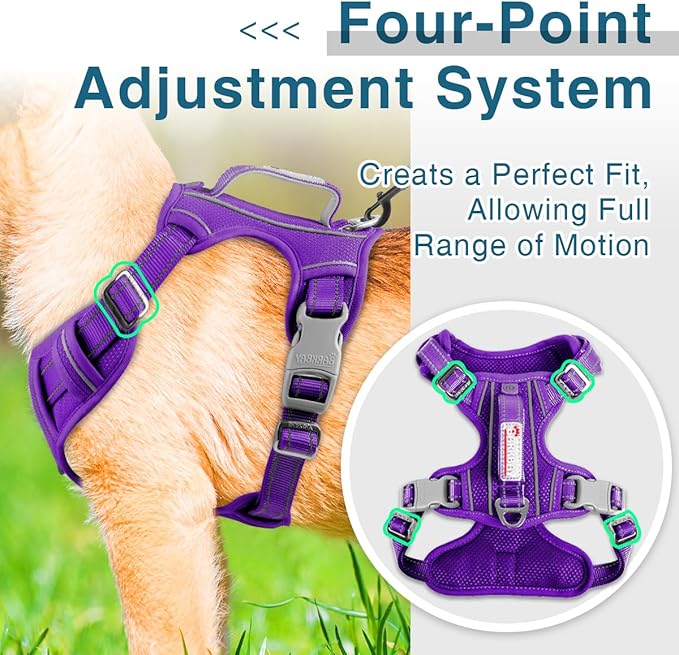 BARKBAY Dog Harness No Pull with ID Tag Pocket - Heavy Duty, Reflective, Easy Control for Small Dogs(Purple,S)