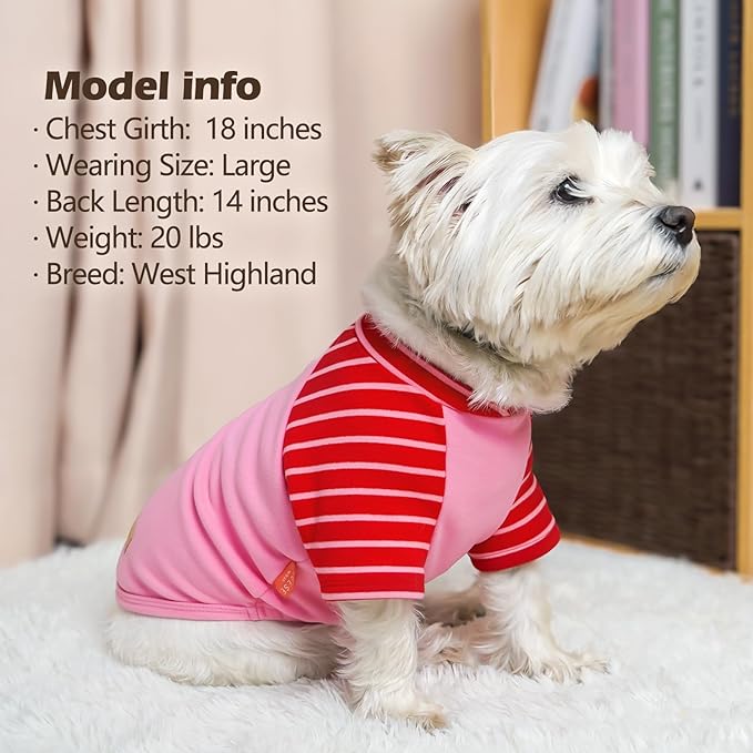 KYEESE 2Pack Dog Sweater Soft Pet Coat Stretchy Cat Clothes Cat Sweaters with Sleeves Comfy Pet Fleece Sweater Lightweight Dogs Sweatshirt Pullover Dog Sweaters for Small Dogs Girl for Cold Weather