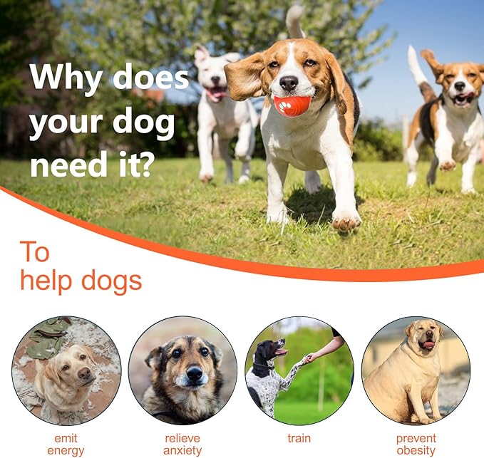 Interactive Dog Ball - Smart Toy for Small and Medium Dogs, Automatic Moving Ball, Rotating & Bouncing, Durable TPU+PC Shell, Toys That Keep Dogs Busy, for Dog