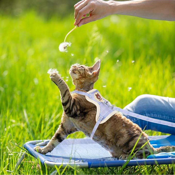 TIESOME Cat Harness and Leash Set, Adjustable Gradient Kitten Harness Escape Proof Harness with Leash for Kitty Outdoor Walking (Bear)