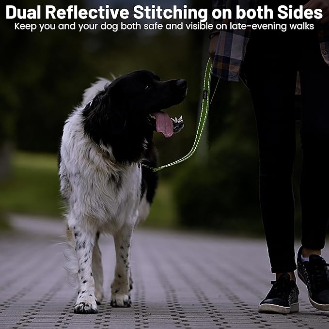 ZALER Short Dog Leash 2 ft, 24 Inches Traffic Leashes for Dogs, Nylon Reflective Dog Lead with Padded Handle, Heavy Duty Pet Leash with Carabiner Clip for Large and Medium Dogs (24" Green)