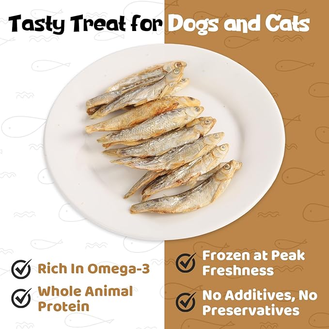 Mnnows - Freeze Dried Minnows for Dogs & Cats, 100% Natural Single Ingredient Training Treats, 2 oz
