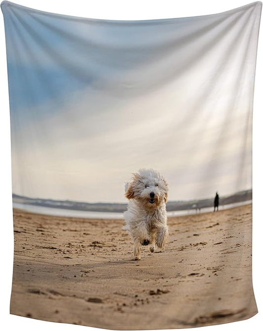 Prints Next Day – Custom 60" x 80" Plush Pet Lightweight Blanket with Photo Upload - Gift for Dog or Cat Owners - Personalized Couch Throw - Printed in America