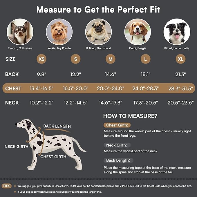 Queenmore Dog Winter Coat Warm Puffer Jacket Waterproof Plush Lining Thermal Cold Weather Vest for Small Medium Large Dogs, Windproof Easy On Pet Jacket Black L