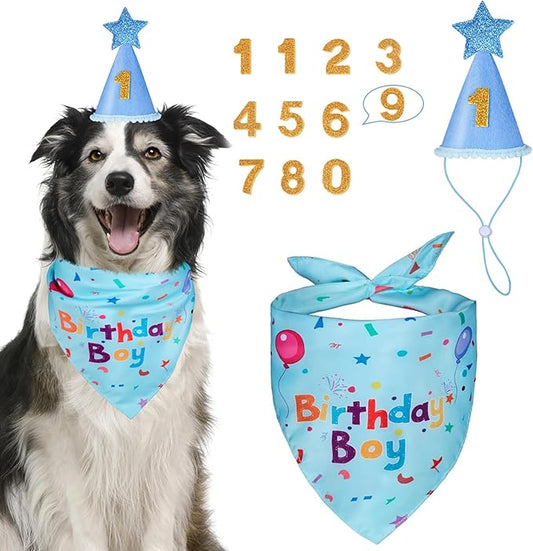 Dog Boy Girl Birthday Party Hat, Dog Birthday Party Supplies, Birthday Bandana Set with Numbers for Gaint and Extra Large Dogs (Blue)