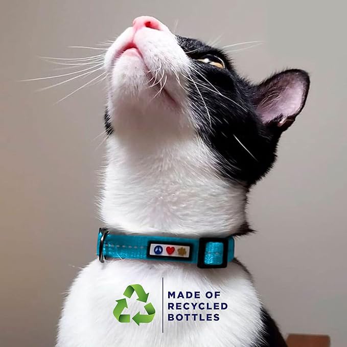 Pawtitas Recycled Cat Collar with Reflective Stitched and Safety Buckle Removable Bell Reflective Cat Breakaway Collar Made of Plastic Bottles Collected from Oceans - Green Cat Collar