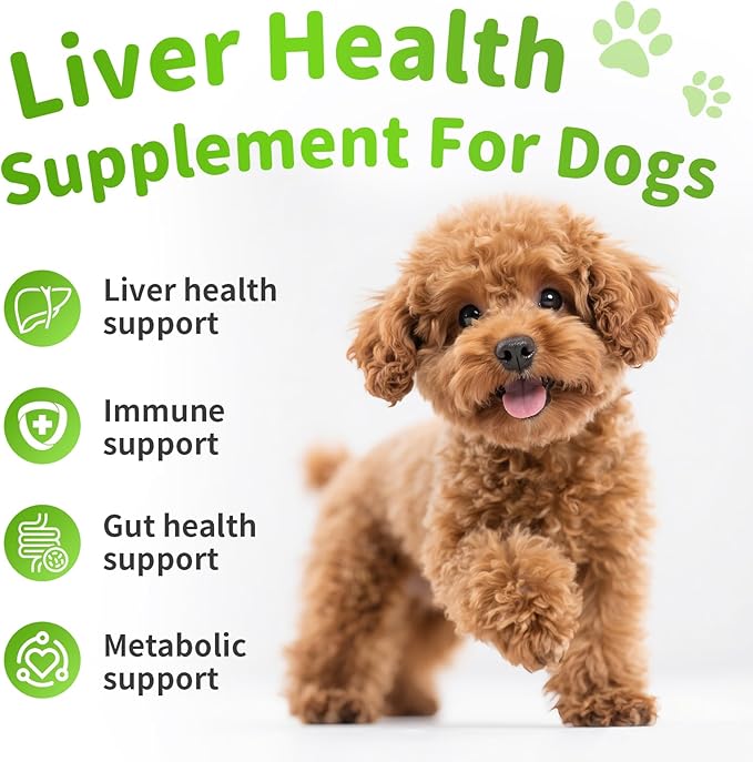 Dog Liver Support Chews - with Milk Thistle (Silybum), Same & NAC - Liver Supplement for Metabolic - Detox - Gut & Immune Health - Beef Flavor, 90 Soft Chews