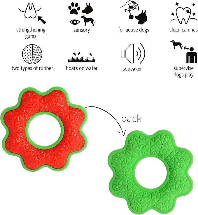Dingo Toy for Dog, Durable TPR Rubber for chewers, Fetch Toy for Play, Boomerang 9.1", 17395 (Flower)