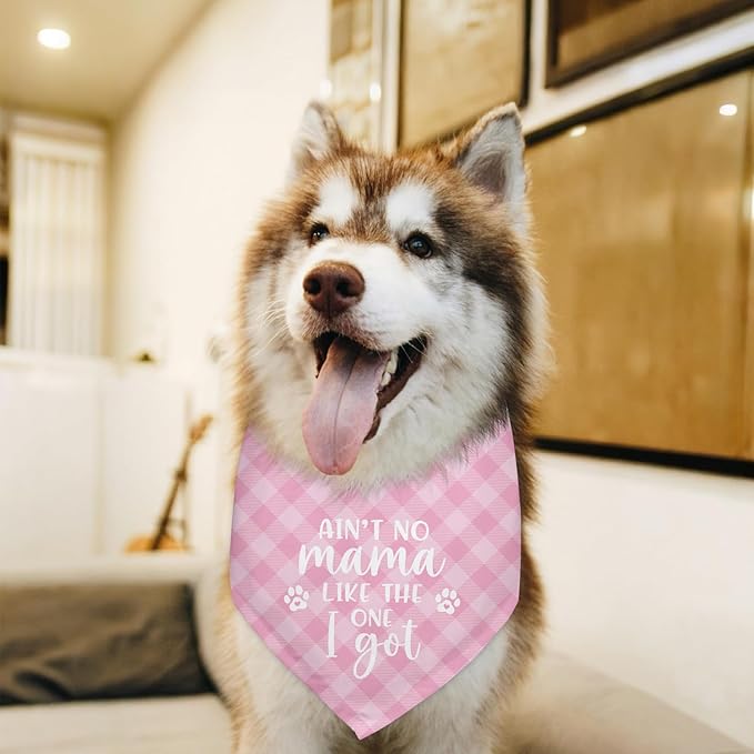 Ain’t No Mama Like The One I Got Bandana Dogs Mom's Gift Scarf Accessories Mothers Day Birthday Christmas Photo Prop Pet Scarf Accessories for Pet Dog Lovers Dog Mom Gifts - Pink Plaid