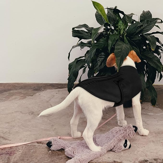 Queenmore Small Dog Sweaters, Soft Fleece Vest Pullover Pet Jacket with Leash Hole, Warm Winter Dog Clothes Cold Weather Doggy Dachshund Sweater for Small Dogs Cats Boy or Girl (Black, XS)