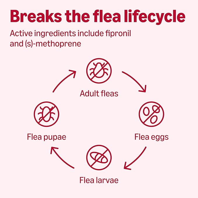 Amazon Basics Flea and Tick Topical Treatment for X-Large Dogs (89-132 Pounds), 6 Count, Packaging May Vary