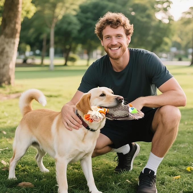 Tough Durable Squeaky Dog Toys for Aggressive chewers Interactive to Keep Them Busy, Funny Cute Plush Dogs Toy for Small Medium Large Breed Chewer Best Cute Birthday Gift (New Owl)