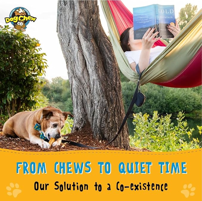 Tibetan Dog Chew Yak Cheese Sticks (1 Large Chew) - Natural, Handmade Large Dog Treats, Long-Lasting, Easy Digest, Ideal for Aggressive Chewers, Supports Oral Health, Grain and Gluten Free