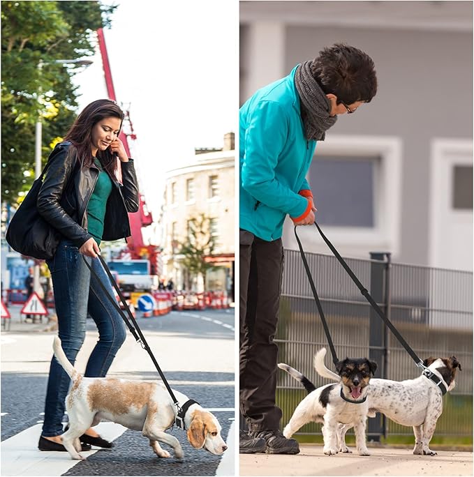 Wisedog Waterproof Dog Leash – 5ft/6ft Adjustable with 2 Hooks & Traffic Handle, Easy to Clean Double Clip Leash for Small, Medium, Large Dogs (Black S)