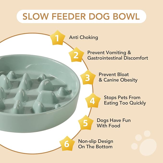 Ceramic 1.6 Cup Dog Raised Slow Feeder Set, Elevated Bowl with Wooden Stand for Medium and Large Dog, 8.2inch Slow Feeder Dish for Fast Easters, Anti-Gulping(Light Green, Single Bowl+ Stand)