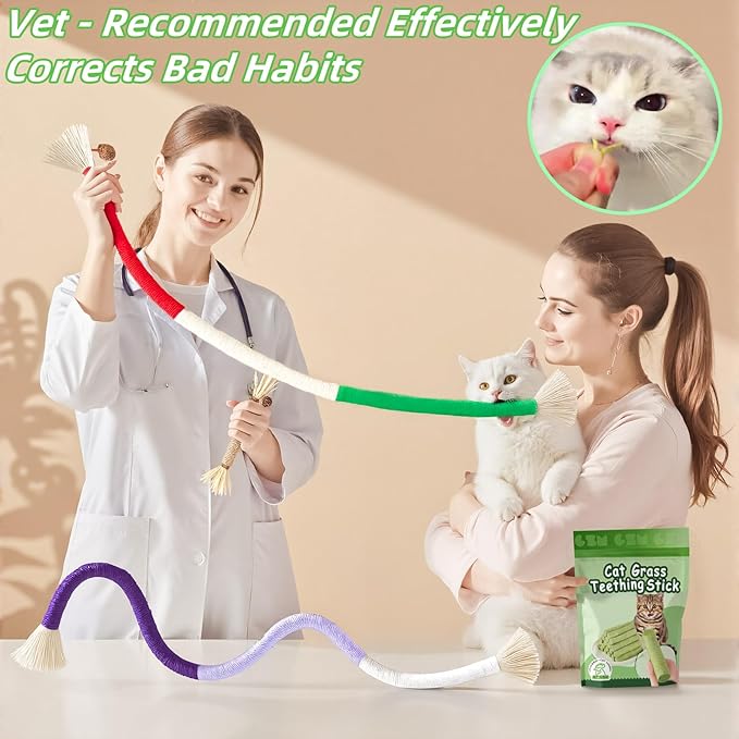 Cat Toys 24Pack Cat Grass Treat Catnip Toy with Silvervine for Indoor Kitten Toys Wood Cat Chew Rope Kitten Grass Stick for Teeth Cleaning Cat Snack for Kitty Cat Nip Dental Care Cat Self Play