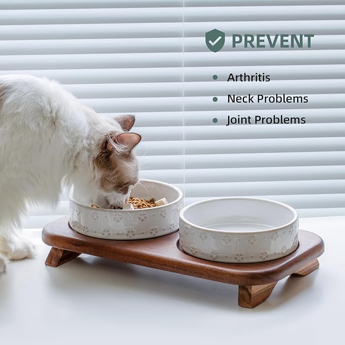 6.1inch Raised Double Cat Bowls Set with Acacia Wood Stand, Wide Whisker Friendly Ceramic Food & Water Bowls for Cats, Puppy, Kitty, Pet Bowl(Double Bowls+Stand, Arctic White)