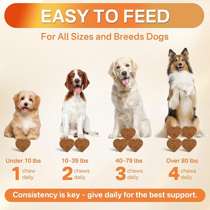 5-in-1 Dog Flea and Tick Treatment Chewable, Natural Flea and Tick Prevention for Dogs Chewable - Flea & Tick | Hip & Joint | Skin & Coat | Immunity Support | Digestive for All Breeds & Sizes