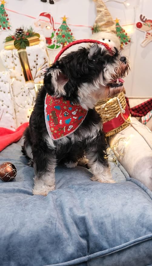Lionet Paws Christmas Dog Bandana Washable Cotton Handkerchief Scarf Triangle Bandana for Small Medium Large Dogs Girl Boy