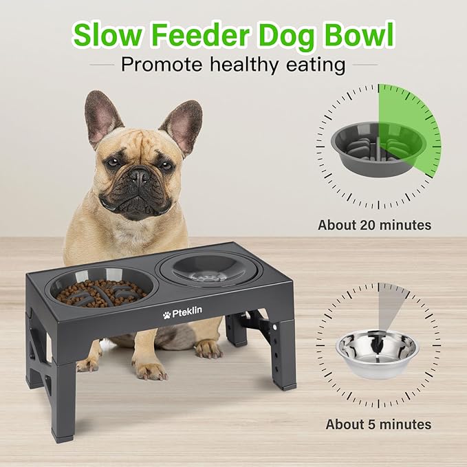 Elevated Dog Bowls, 5 Height Adjustable Raised Bowl with Anti Spill Non-Skid No Shaking Water Bowl and Slow Feeder Dog Bowls Stand for Small Medium Large Dogs