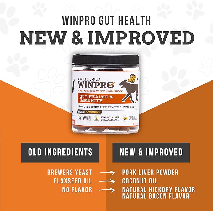 WINPRO Dog Gut Health Supplements – Plasma-Powered Chews for Dog Immune Support & Digestive Health, Fast-Acting Solution for Gut Health for Dogs of All Breeds & Sizes, 60 Count, Made in USA