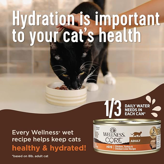 Wellness CORE Pate Kitten Wet Cat Food, Natural, Protein-Rich, Grain Free, 3 Ounce, 12 Pack (Chicken & Salmon)