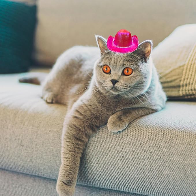 Dog Cowboy Hat Cat Cowboy Hat Pet Cowboy Costume Mini Cowboy Hat for Dogs Cat Holiday Halloween Pet Party Decoration (Rose red-style2, Small)