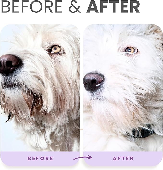 Lillian Ruff Brightening Shampoo & Oatmeal Conditioner Set for Dogs – Safe for Cats - Tear Free Coconut Scent with Aloe for Normal, Dry & Sensitive Skin