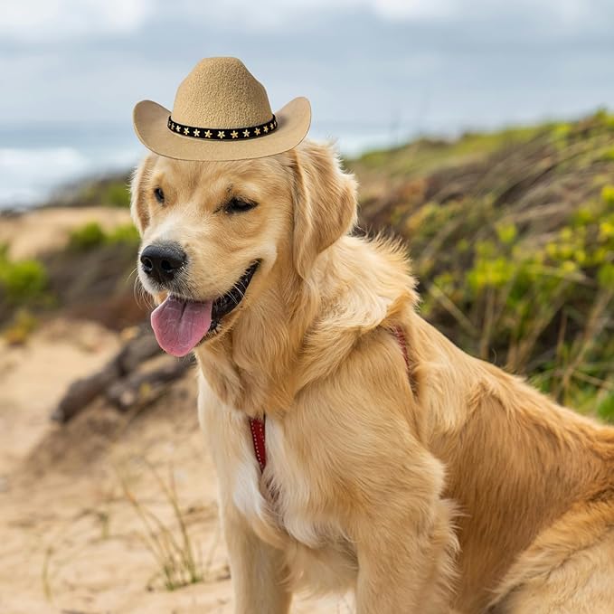 Dog Cowboy Hat Cat Cowboy Hat Pet Cowboy Costume Mini Cowboy Hat for Dogs Cat Holiday Halloween Pet Party Decoration (Khaki, Large)