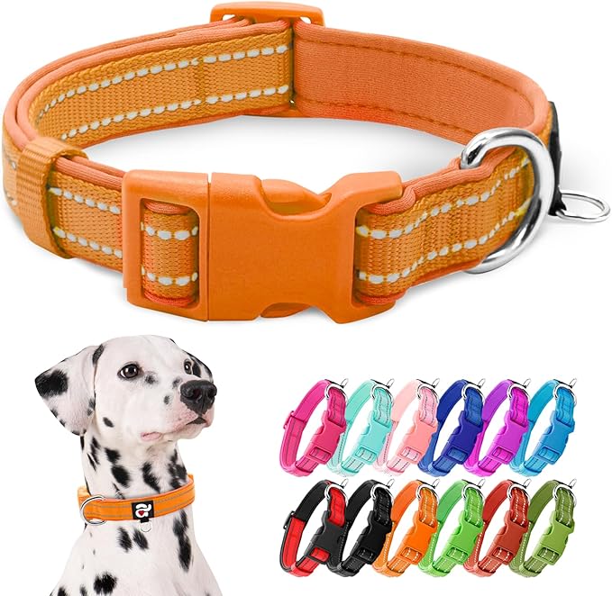 azuza Reflective Dog Collar, Soft Neoprene Padded Pet Collar with ID Tag Ring, Adjustable for Large Dogs,Orange,L