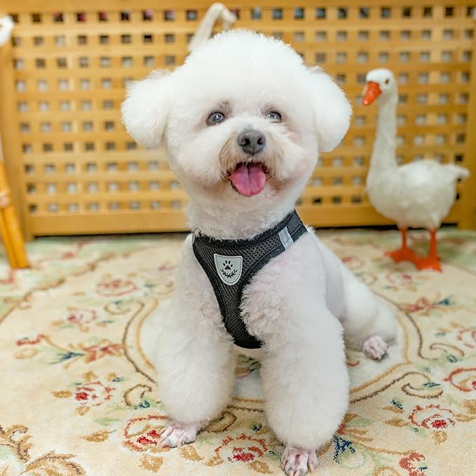 PUPTECK Adjustable Dog Harness Collar and Leash Set Step in No Pull Pet Harness for Small Medium Dogs Puppy and Cats Outdoor Walking Running, Soft Mesh Padded Reflective Vest Harnesses, Solid Black S