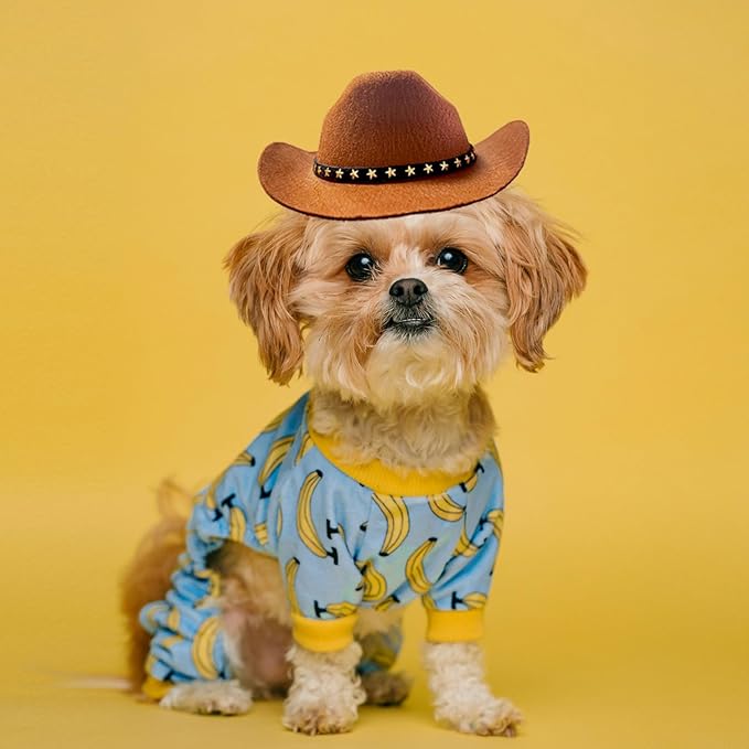 Dog Cowboy Hat Cat Cowboy Hat Pet Cowboy Costume Mini Cowboy Hat for Dogs Cat Holiday Halloween Pet Party Decoration (Brown, Large)