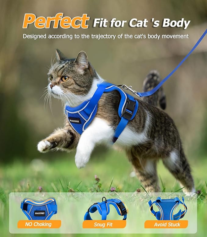 Halypet Cat Harness and Leash Set [MAX Safety 4th-Gen Upgrade] Escape Proof Adjustable Cat Leash Comfortable Soft Vest Easy to Wear Kitten Harness with Reflective Strip for Cats Walking, XS Blue