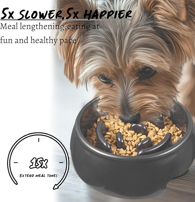 Personalized Slow Feeder Bowl for Dogs & Cats - Custom Name, Non-Slip Bottom, Easy to Clean, Puzzle Food Dish for Puppy & Kitten, Small & Medium Pet Bowls & Plates（Round）