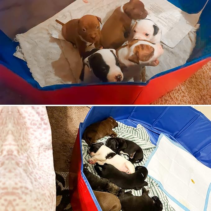 Artilife Whelping Pen for Dogs,Whelping Box for Dogs and Puppies,Dog Birth Supplies,Portable Whelping Pool Whelping Box,Foldable Dog Bath Pool (63inch Dia.x12inch H(160x30cm))