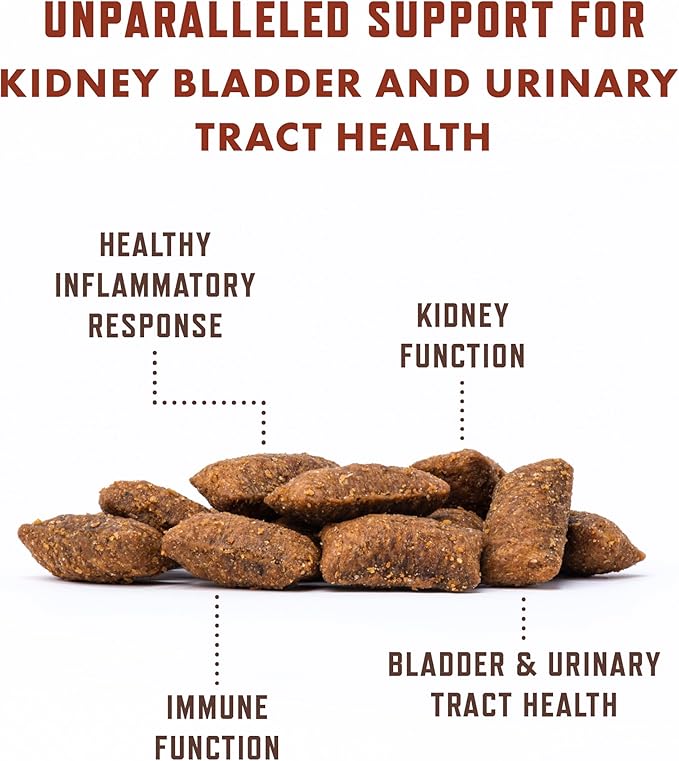 Rocco & Roxie Cat Urinary Tract Health Supplement, Cranberry and D-Mannose for Bladder, UT and Kidney Support for Cats, Vet-Recommended, Chicken-Flavored Crunchy Chews, Made in USA