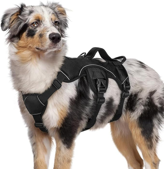 rabbitgoo Escape Proof Dog Harness, Soft Padded Full Body Pet Harness, Reflective Adjustable No Pull Vest with Lift Handle and Leash Clip for Large Dogs Walking Hiking Training, M, Black