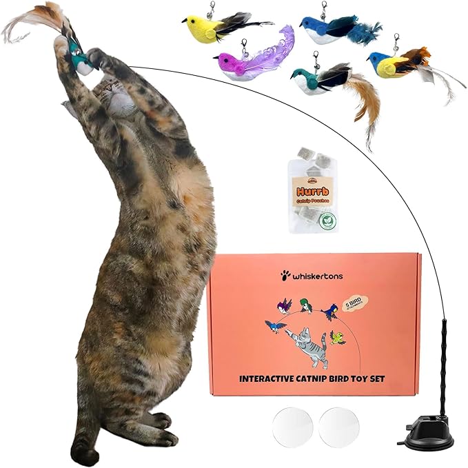 Whiskertons Interactive Bird Simulation Cat Toy Set, Interactive Cat Toys for Indoor Cats, Cat Feather Toy, Self-Holding Suction Cup, 5 Catnip Birds, Feathers, Bells (Catnip Bird Toy Set with 5 Birds)