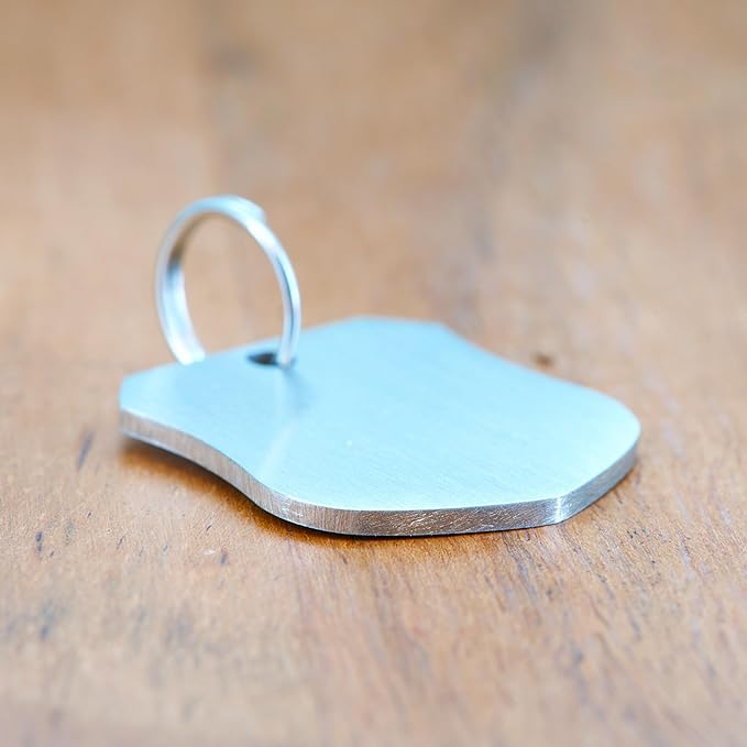 Ultra Joys Cat ID Tag Personalized Pet Tags, Durable Stainless Steel Small Pet Mini Dog Cat Tag Lightweight - Shield Tag in Silver
