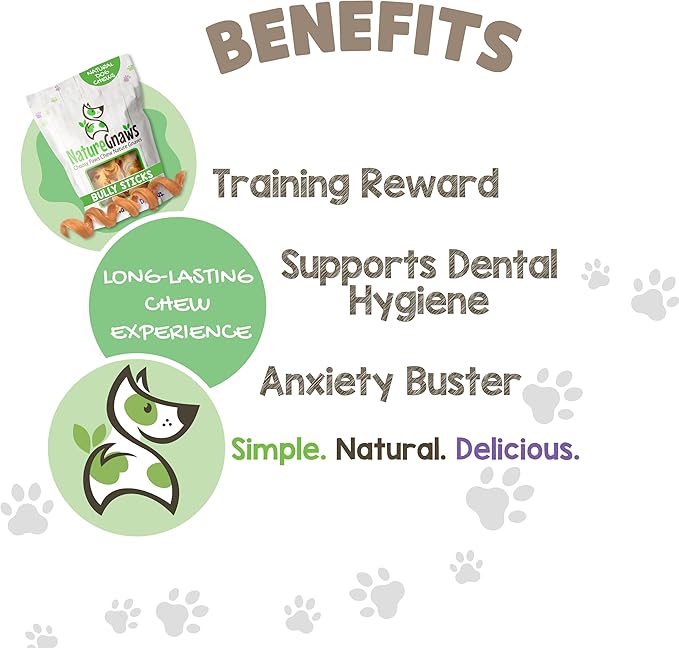 Nature Gnaws Bully Stick Springs for Dogs 7-8" (6 Count) - Long Lasting for Aggressive Chewers - Natural Curly Beef Dog Chew Bones - Rawhide Free