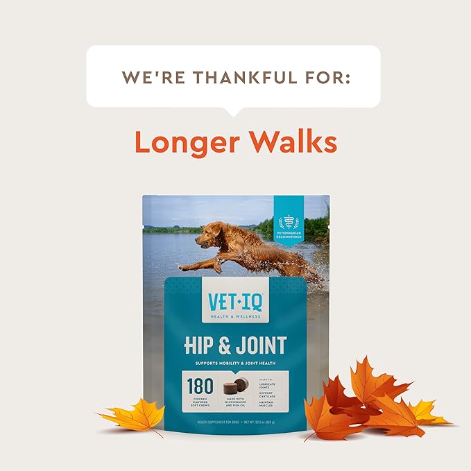 VetIQ Glucosamine Hip & Joint Supplement for Dogs, 180 Soft Chews, Joint Support Supplement with MSM and Krill, Dog Health Supplies Large & Small Breed, Chicken Flavored Chewables