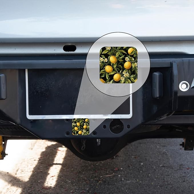 Hitch Cover Fits for 2-Inch Hitch,Lemon, Leaf and Flower Pattern On A Black Background Rubber Trailer Hitch Cover Tube Plug Insert,Car Exterior Accessories, Receiver Tube Hitch Plug