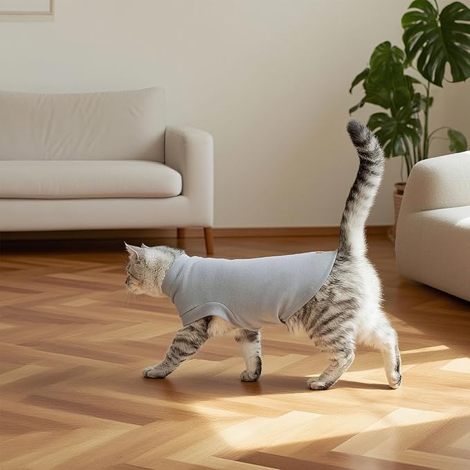 EXPAWLORER Soft Cat Sweater - Sweaters for Cats Only Warm Kitten Clothes, Fall and Winter Pet Coat Pullover Design, Fleece Sweatshirt Clothing Also for Puppy Small Dogs, Grey Medium