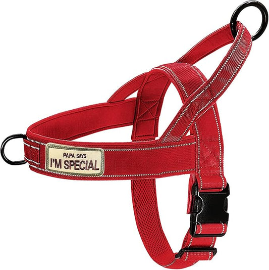Red No Pull Dog Harness for Small Medium Large Sized Dog, Reflective Escape Proof Adjustable Dog Harnesses with 2 Patch, M