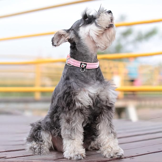 azuza Reflective Dog Collar, Soft Neoprene Padded Pet Collar with ID Tag Ring, Adjustable for Small Dogs,Pink,S